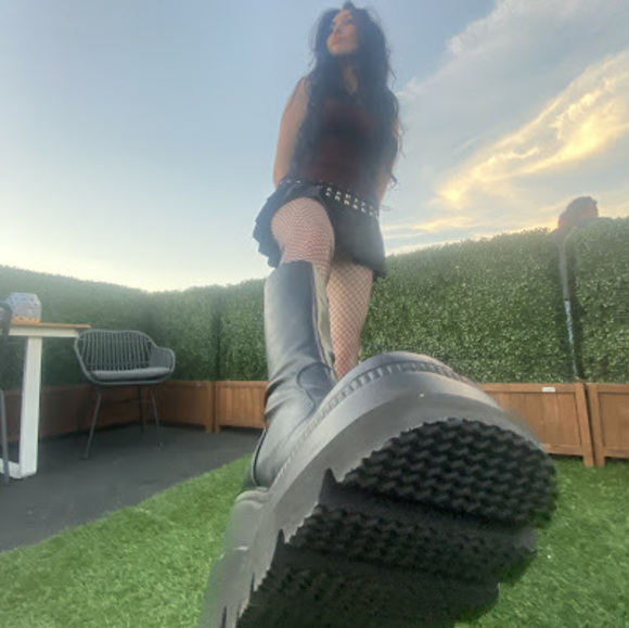 Meet your Posher, Gracie - Picture 1 of 1